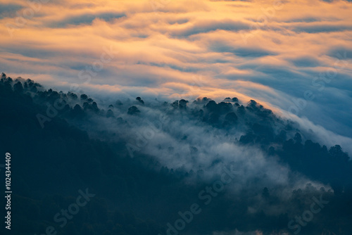 misty mountains