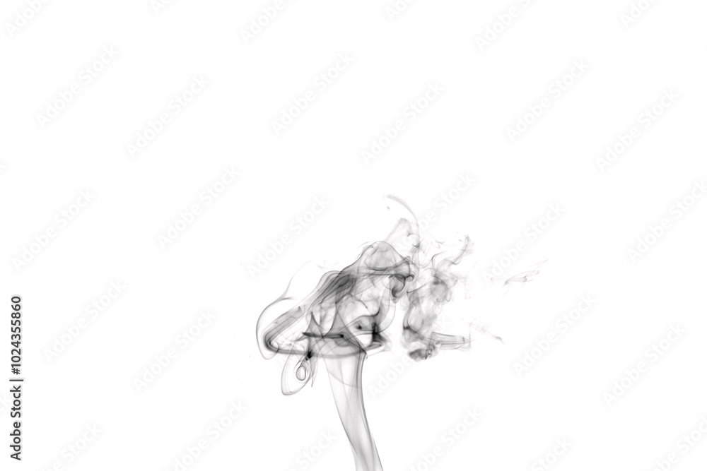 Fototapeta premium Abstract black smoke on white background. Abstract smoke pattern.