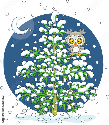 Wise northern owl with larg...
