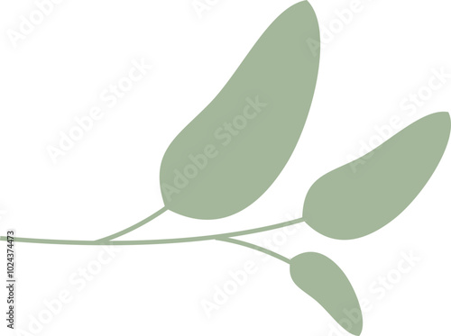 Minimalist illustration of sage leaves symbolizing simplicity and nature.