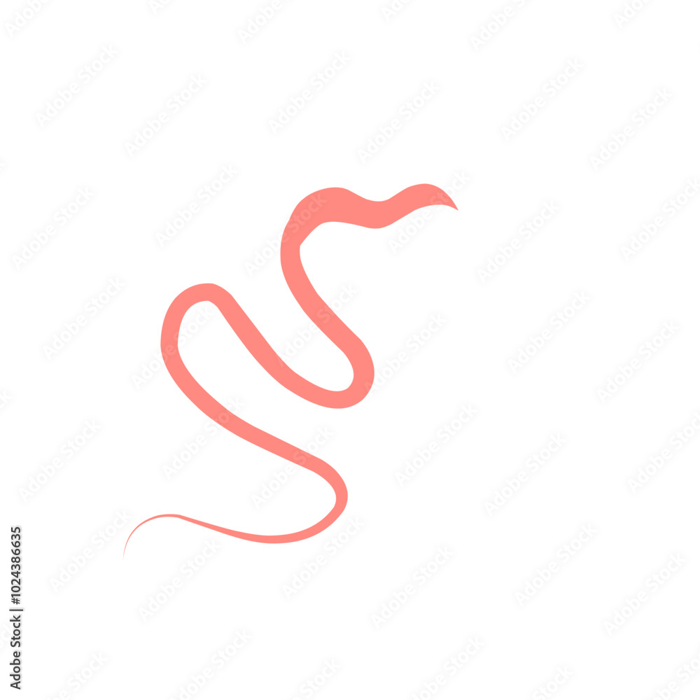 Whipworm Vector Illustration Whipworm Vector Illustration