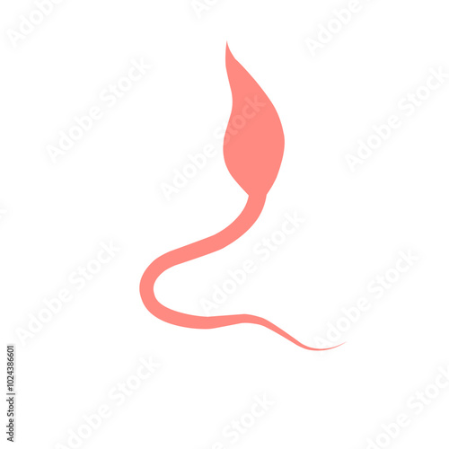 Whipworm Vector Illustration  photo