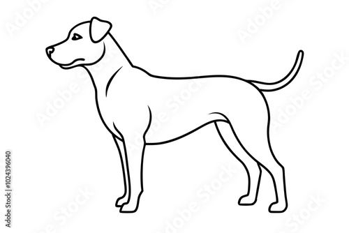 illustration of a dog