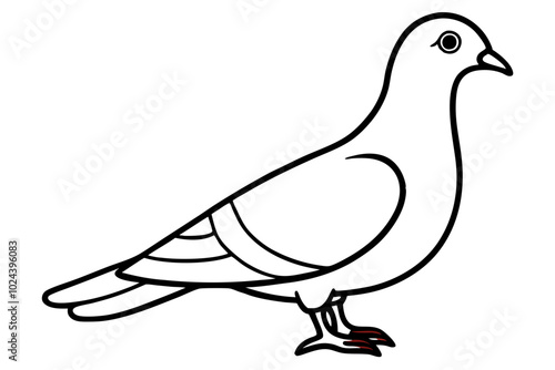 illustration of a pigeon