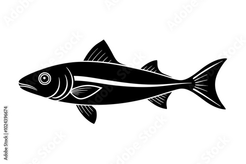 fish isolated on white background