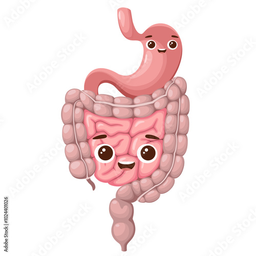 Stomach and intestines on a white background. Cartoon human organs. Vector illustration.