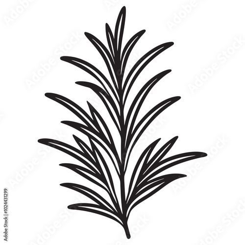 Elegant Rosemary Silhouette Vector Design