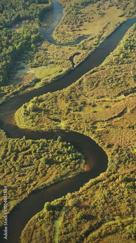 Aerial View Green Forest Woods And River Landscape In Sunny Summer Day. Top View Of Beautiful European Nature From High Attitude In Autumn Season. Drone View. Bird's Eye View photo