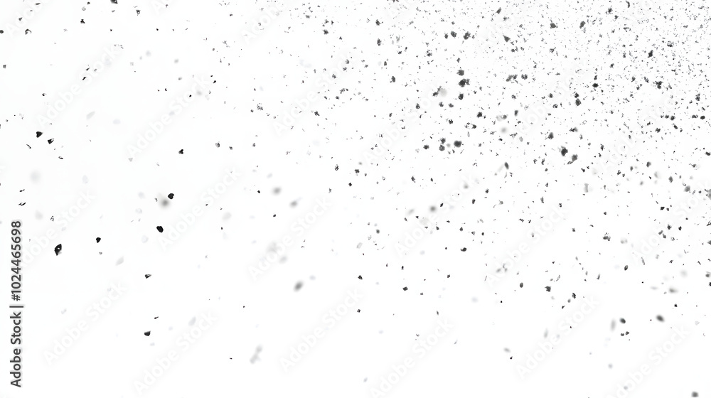 snow drops on white background snow drops on white background