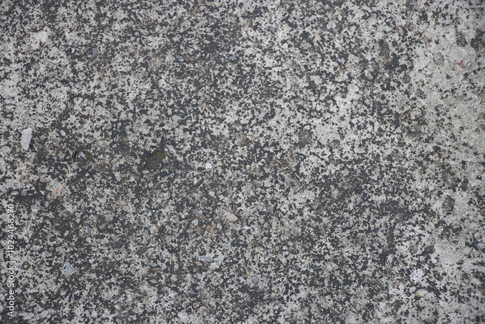 A Modern grey texture background in white light seam home wall paper. Back flat subway concrete stone table floor concept surreal granite panoramic stucco surface background grunge wide A Modern grey texture background in white light seam home wall paper. Back flat subway concrete stone table floor concept surreal granite panoramic stucco surface background grunge wide