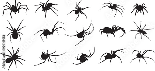 Vector Silhouette Collection: Clean and Bold Designs Spider, Black Widow, Red back female, views isolated on white