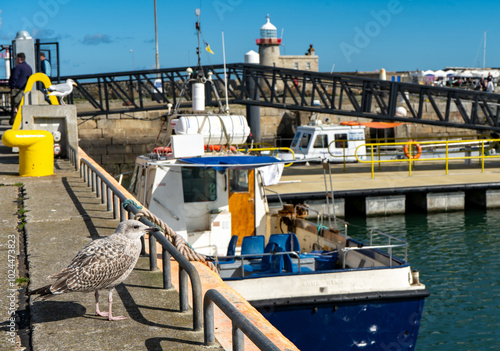 Beautiful seascape - Howth lighthouse with boat photo