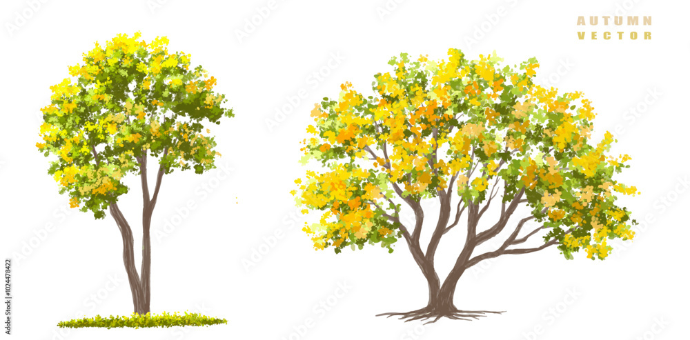 Vector side view ginkgo tree for environment scene in autumn,watercolor tree elevation for landscape concept,environment panorama scene,eco design,meadow with grass Vector side view ginkgo tree for environment scene in autumn,watercolor tree elevation for landscape concept,environment panorama scene,eco design,meadow with grass