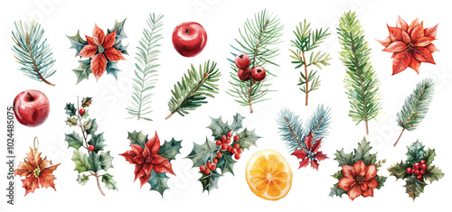 Festive watercolor Christmas plants and flowers for holiday designs with pine brunches and mistletoe leaves