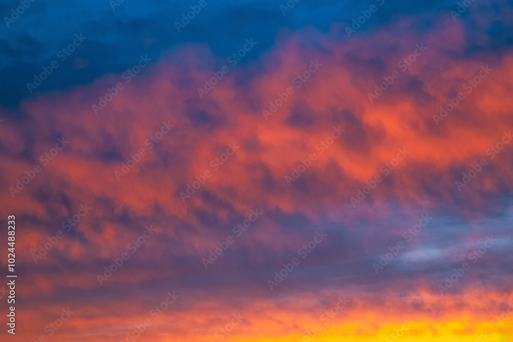 Fototapeta premium A beautiful sunset with pink clouds on a dark blue sky