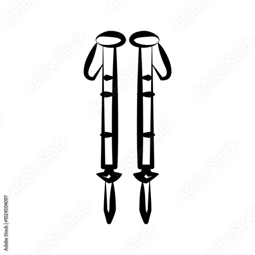 ski poles