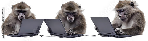 Monkey with computer nuresery watercolor photo