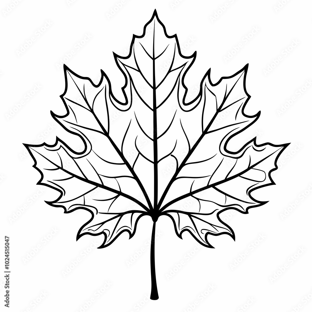 Fototapeta premium maple-leaf-oak-tree-silhouette