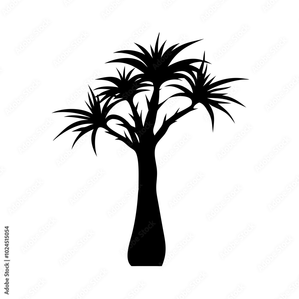 Obraz premium madagascar-dragon-tree-tree-silhouette