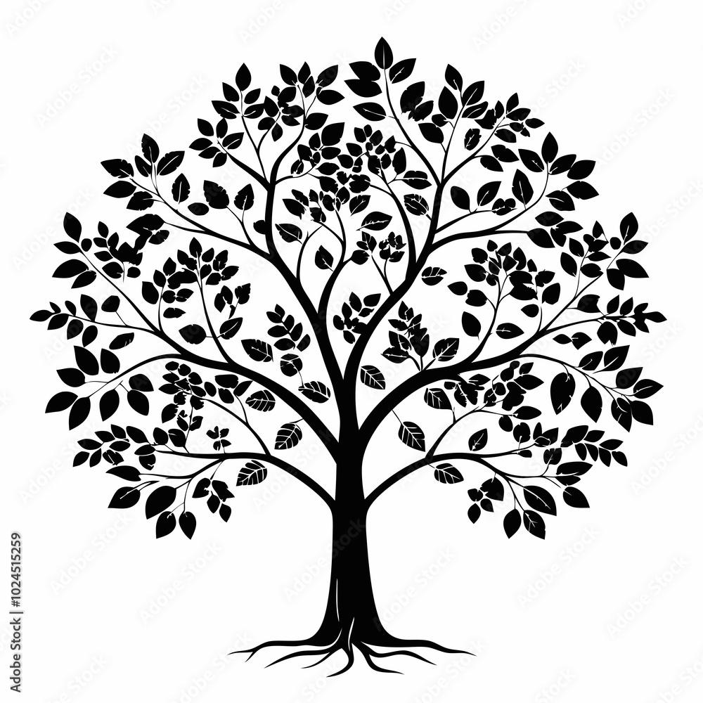 Obraz premium maidenhair-tree-tree-silhouette