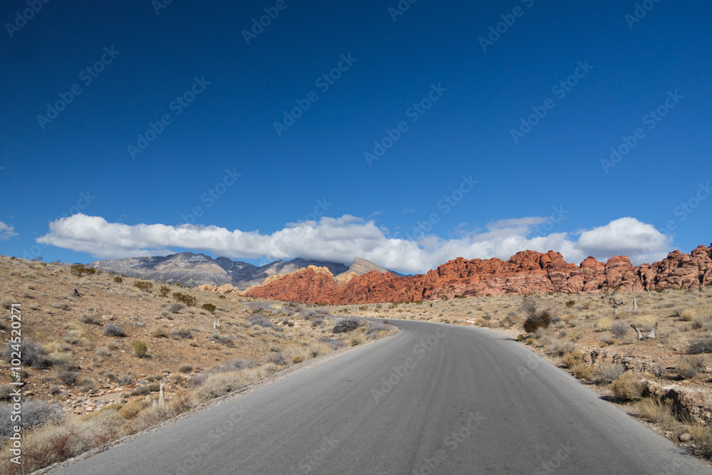 Road through Red Rock Canyon, La Madre Mountains Wilderness, Nevada Road through Red Rock Canyon, La Madre Mountains Wilderness, Nevada