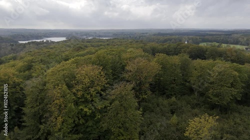 Drone shot of swedish forest in Tjörnarp