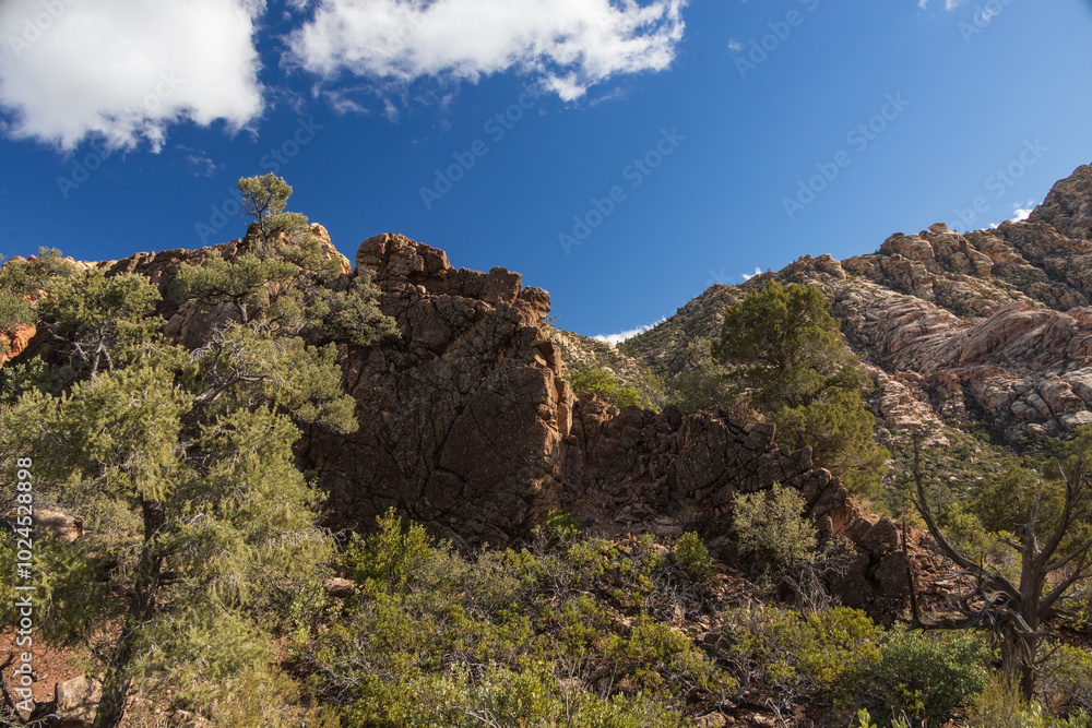 White Rock Mountain Loop, La Madre Mountains Wilderness, Nevada
