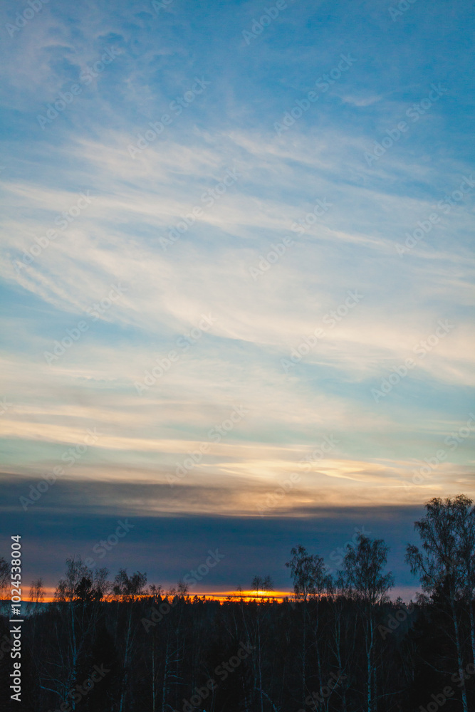 This image beautifully captures the subtle hues of a winter sunset This image beautifully captures the subtle hues of a winter sunset