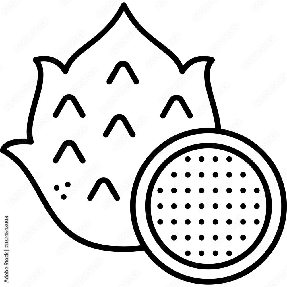 Pitaya Icon Pitaya Icon