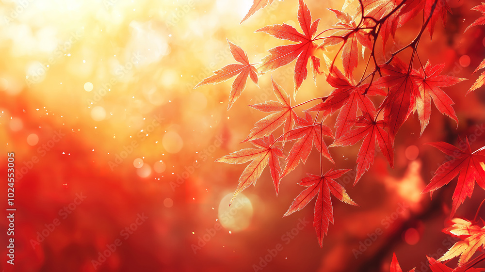 Seasonal Banner Design Showcasing Red and Yellow Maple Leaves with a Soft Focus and Bokeh Effect Seasonal Banner Design Showcasing Red and Yellow Maple Leaves with a Soft Focus and Bokeh Effect