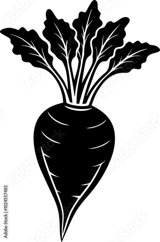 parsnip silhouette vector illustration