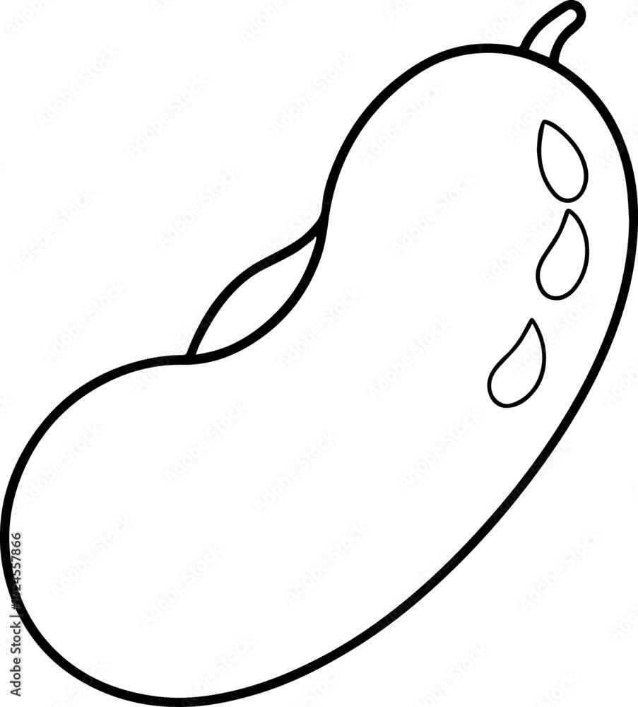 lima bean vector illustration line art lima bean vector illustration line art