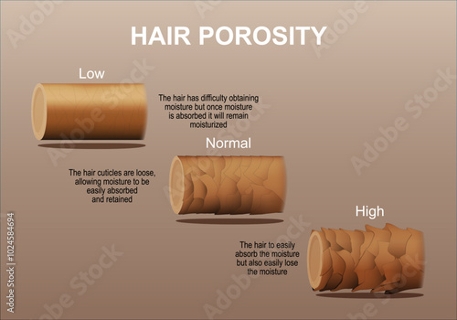 Hair porosity. Hydrophilic vs hydrophobic hair