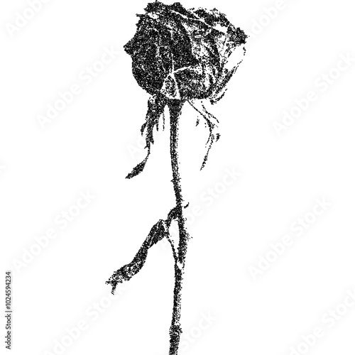 Creepy Halloween rose flower element with vintage stippling photocopy effect. Retro vector illustration for psychedelic surreal poster, with experimental grunge dotted texture