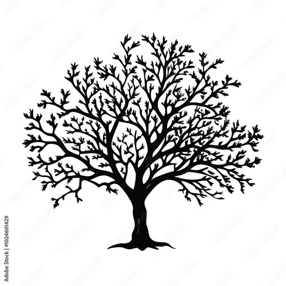 Obraz premium indian-laurel-tree-silhouette