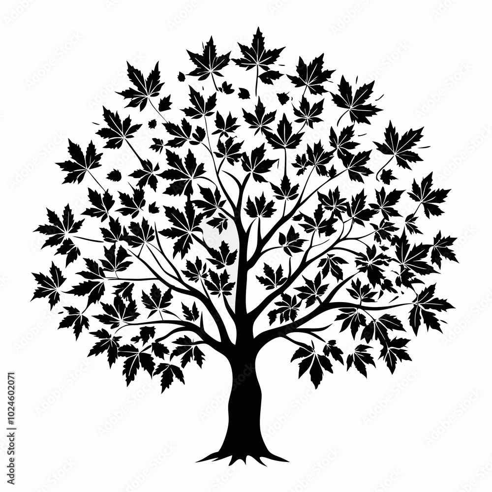 Obraz premium liquidambartree-silhouette