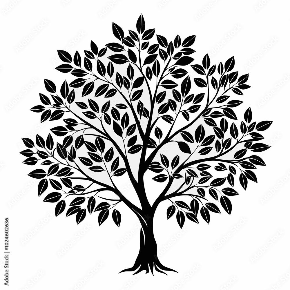 Obraz premium california-laurel-tree-silhouette