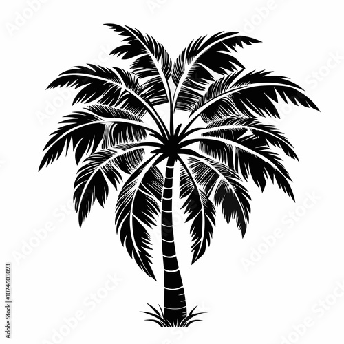 cocos-palm-tree-silhouette
