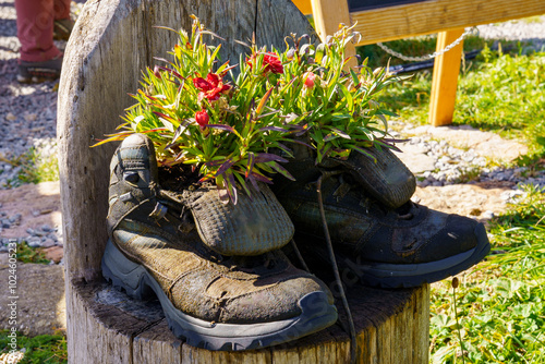 Old alpine boots on a wooden stake filled with colorful flowers. Decoration at the mountain inn