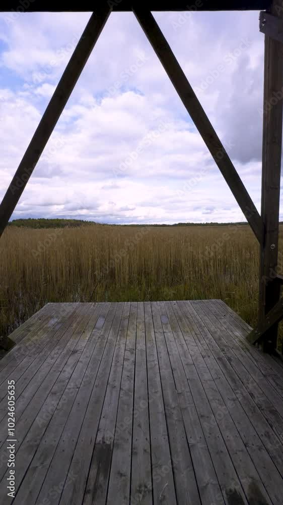 A wide, panoramic view of the golden marshes from the birdwatching tower on the Rakovyye Ozyora ecological trail. This scene under a dramatic cloudy sky captures the untouched beauty of the wetlands