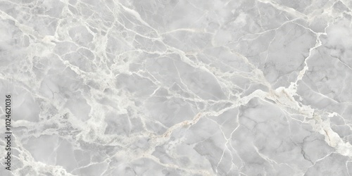 Wallpaper Mural Abstract Gray Marble Texture with Delicate Veins and Subtle Shimmer Torontodigital.ca