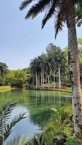 museu de inhotim em brumadinho minas gerais  photo