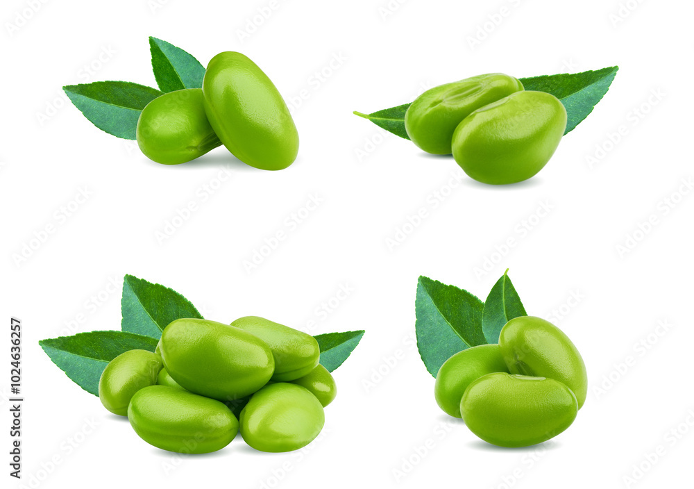 custom made wallpaper toronto digitalfresh soybeans