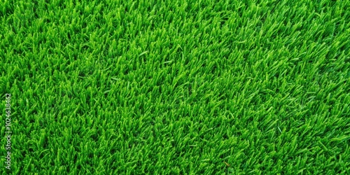 Wallpaper Mural A close-up view of vibrant green blades of grass, showcasing the intricate texture and natural beauty of a verdant lawn Torontodigital.ca