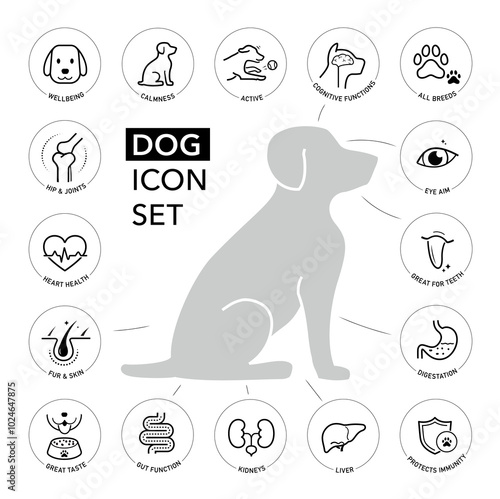 A set of icons for dog. The basic parts of pet health. The outline icons are well scalable and editable. Contrasting elements are good for different backgrounds. EPS10.	