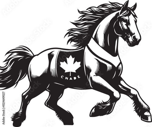 Cheval Canadian Vector