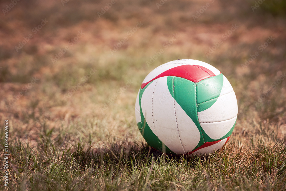 Volleyball on Grass in a Garden
