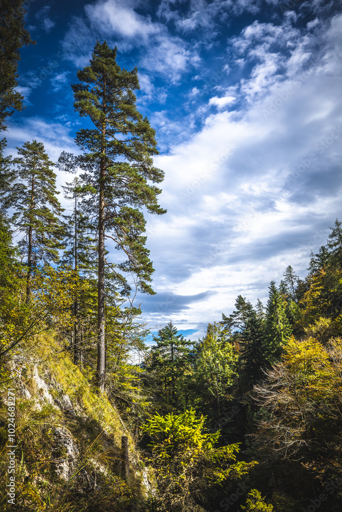 Almbachklamm Berchtesgadener Land Almbachklamm Berchtesgadener Land
