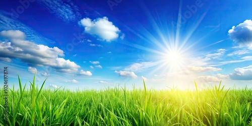Summer sunny background with blue sky and green meadow