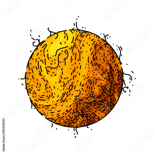 sunshine sun hand drawn. rays energy, star heliosphere, photosynthesis ultraviolet sunshine sun vector sketch. isolated color illustration